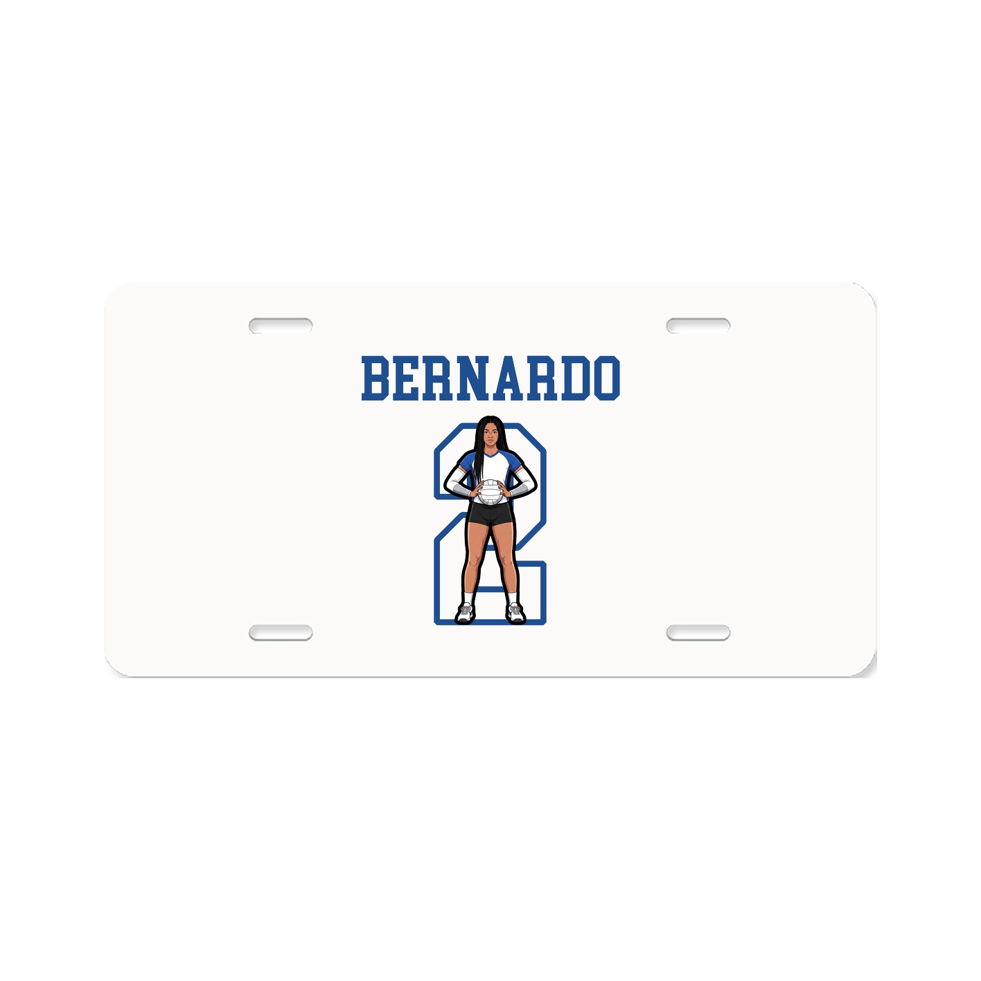 License Plate