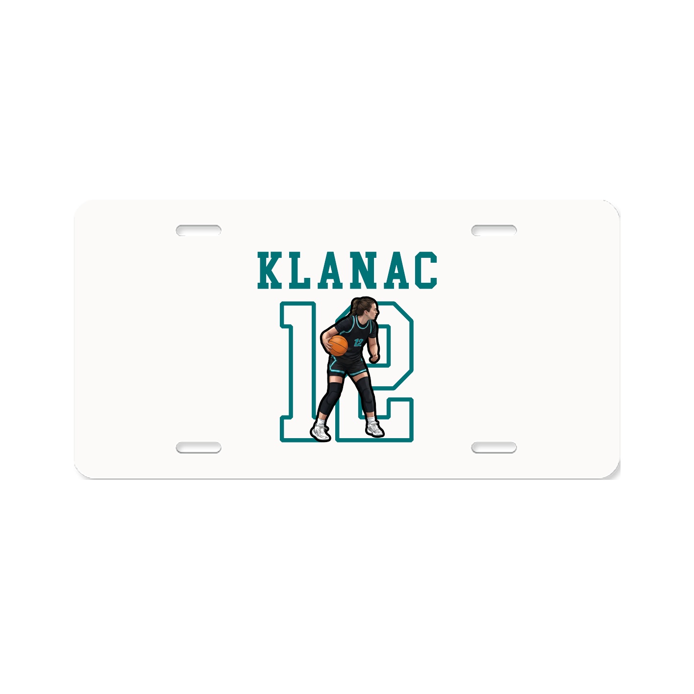 Aluminum License Plate