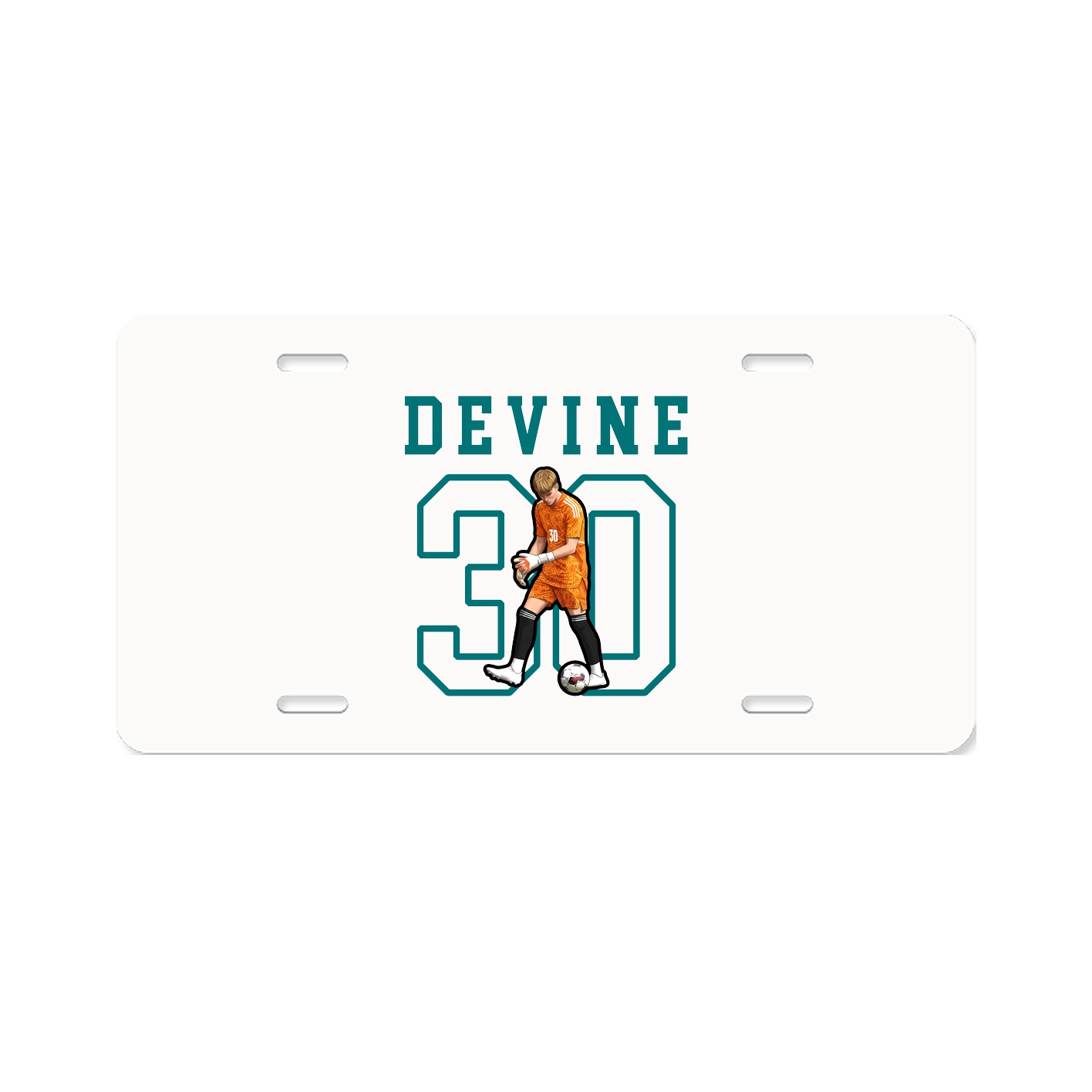 Aluminum License Plate
