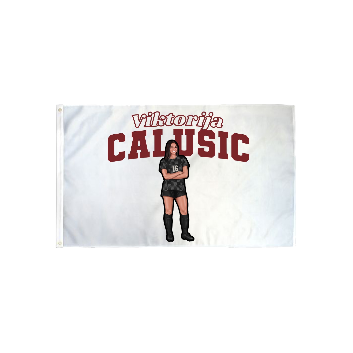 3x5 Flag — Name Arch in Classic