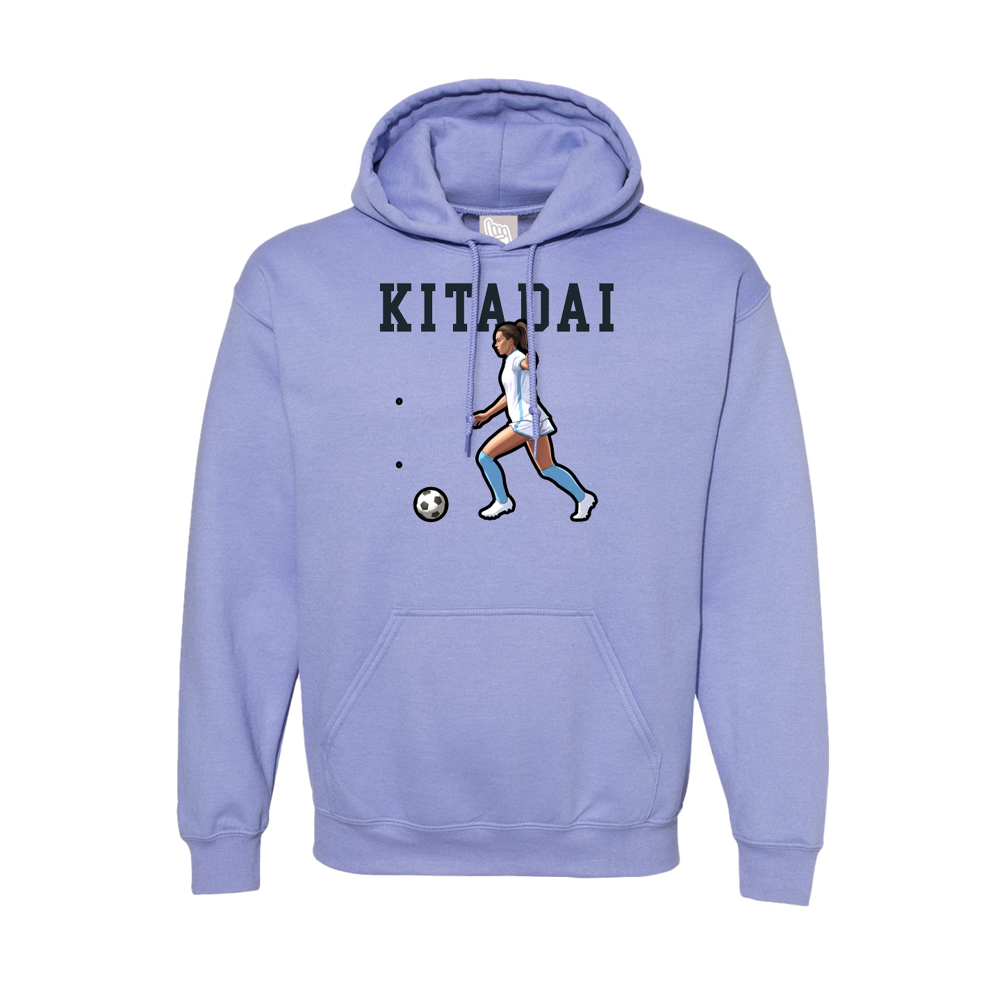 Hoodie — Shirsey in Purple