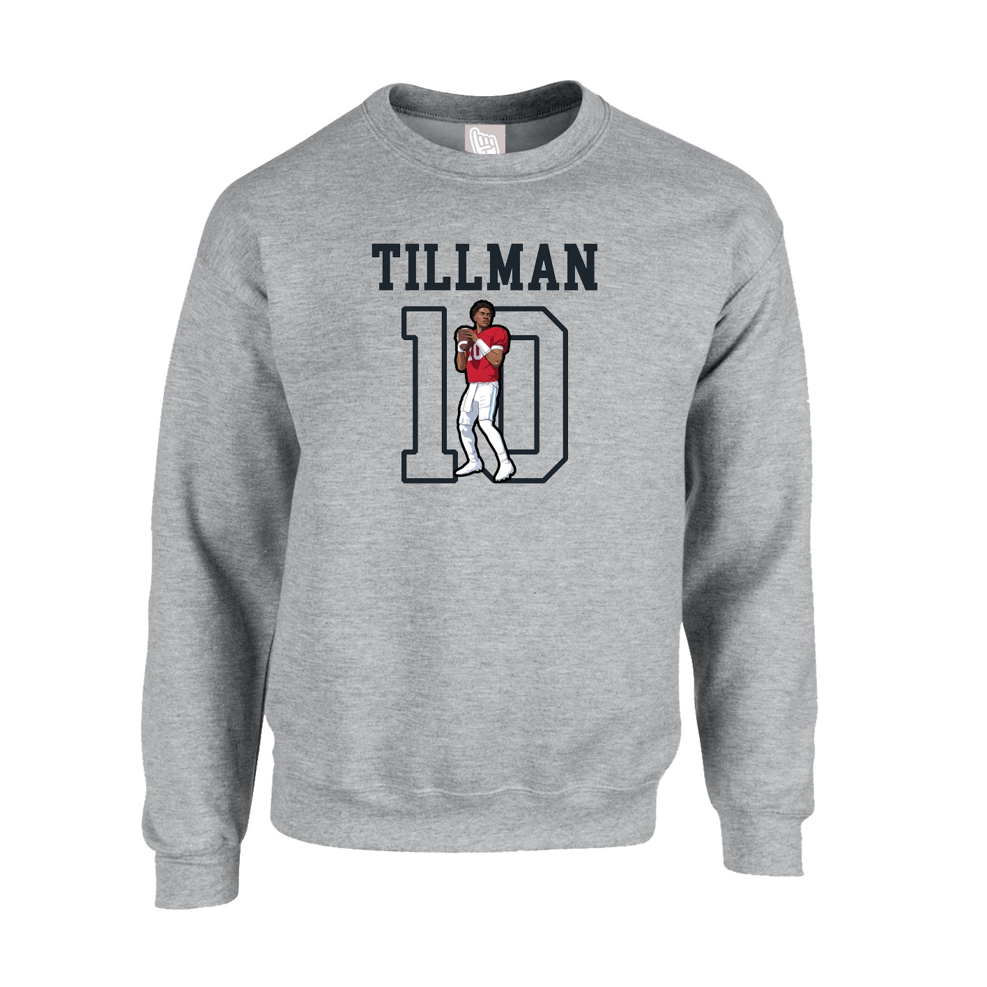 Fleece Crew — Shirsey in Grey