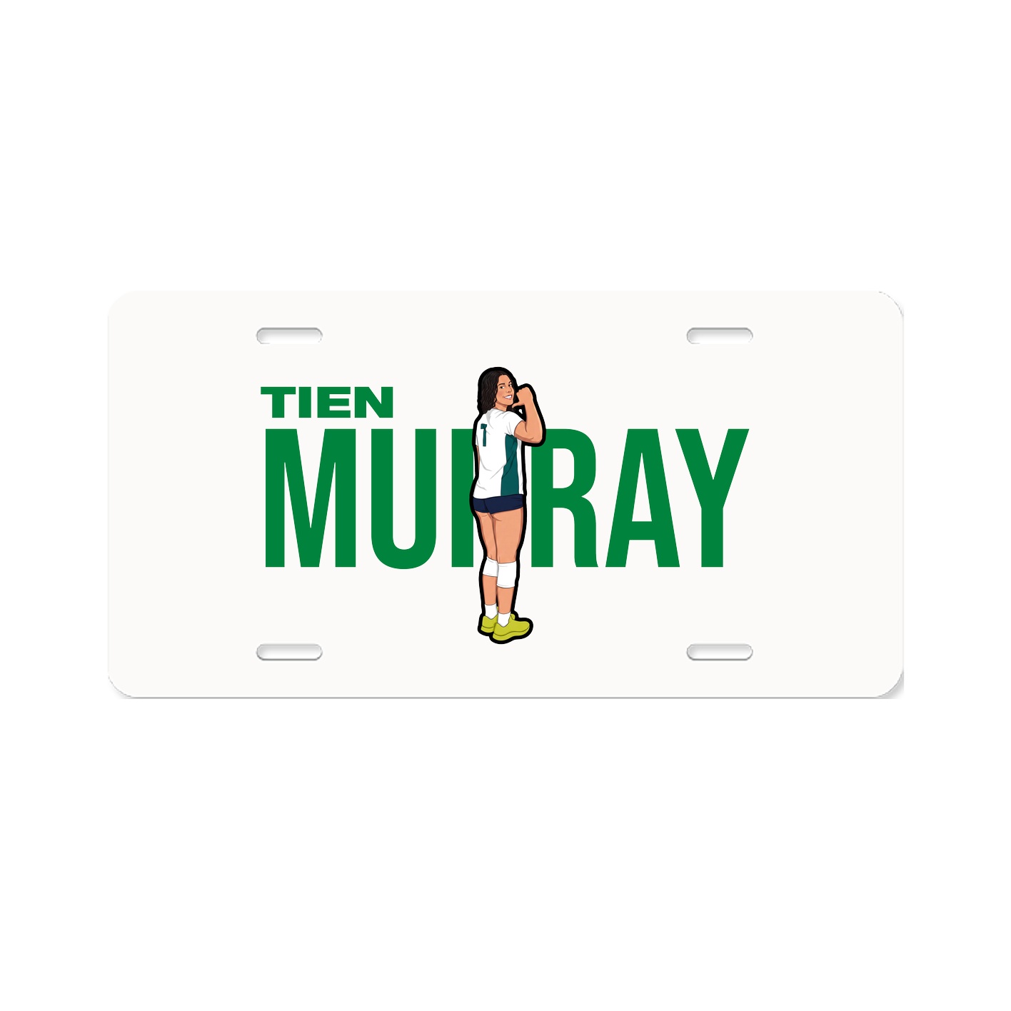 License Plate
