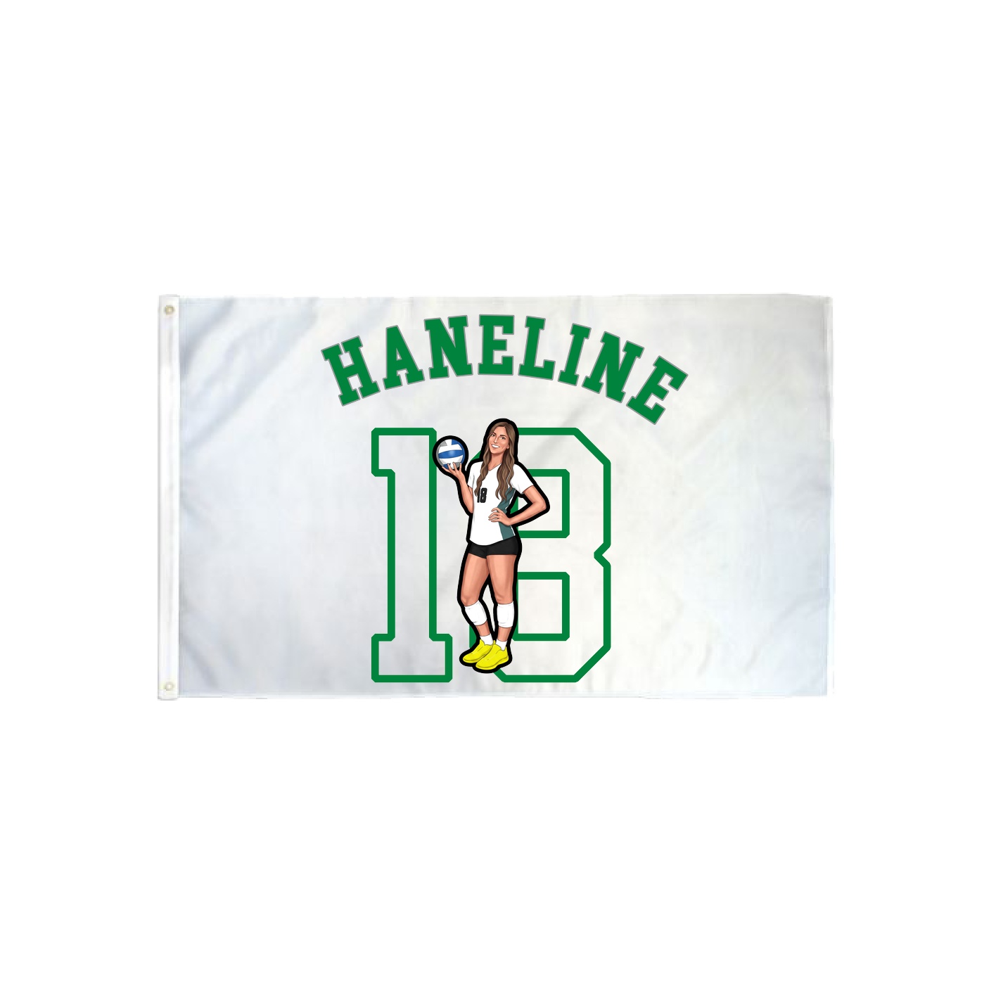 3x5 Flag — Shirsey Arch in Classic