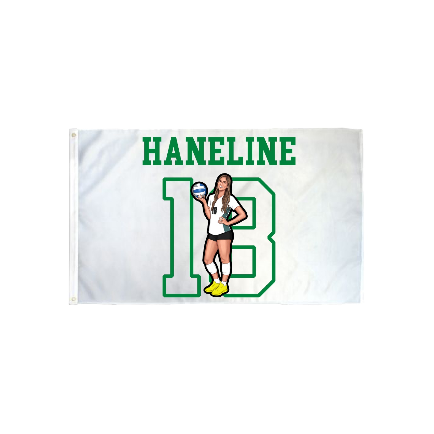 3x5 Flag — Shirsey in Classic
