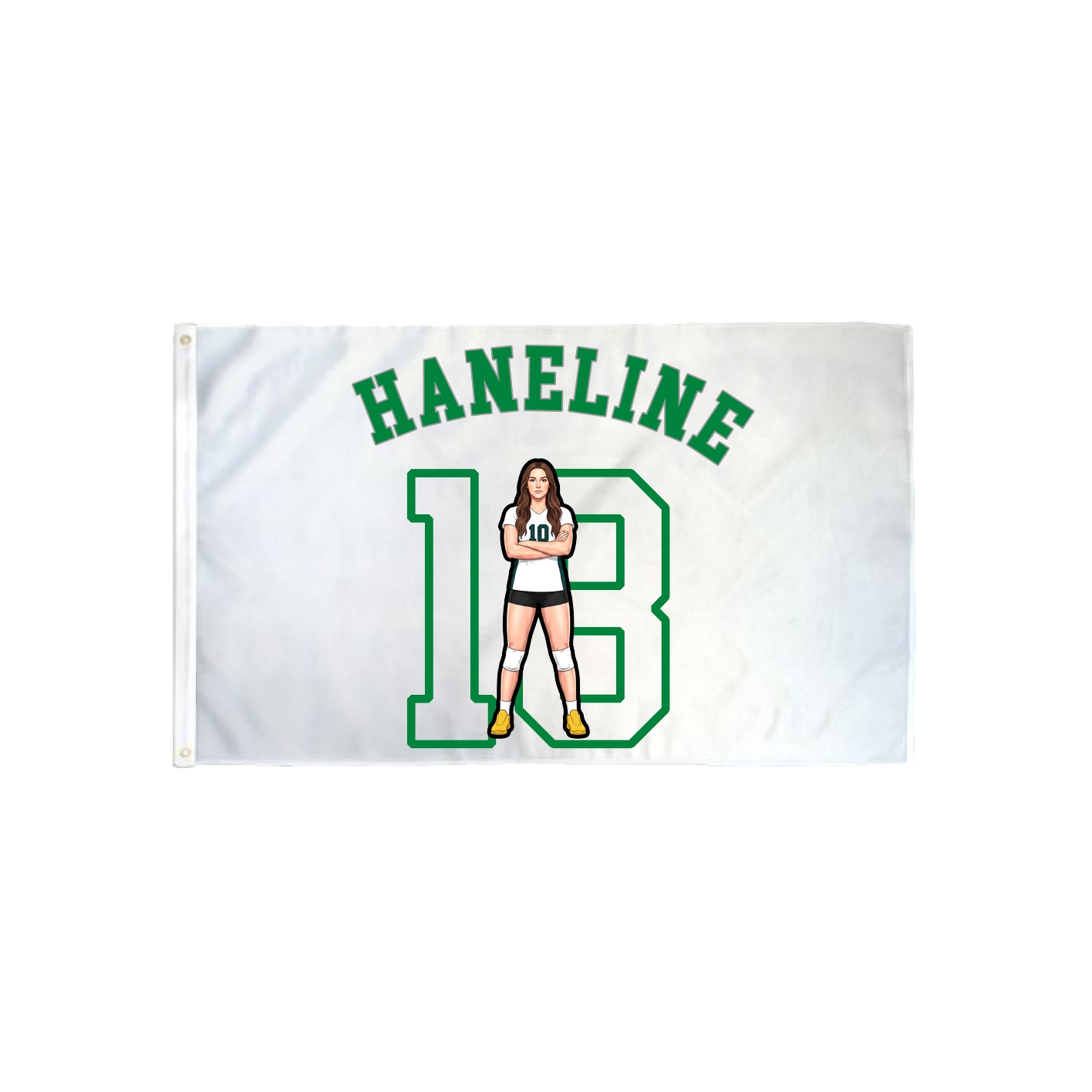 3x5 Flag — Shirsey Arch in Classic