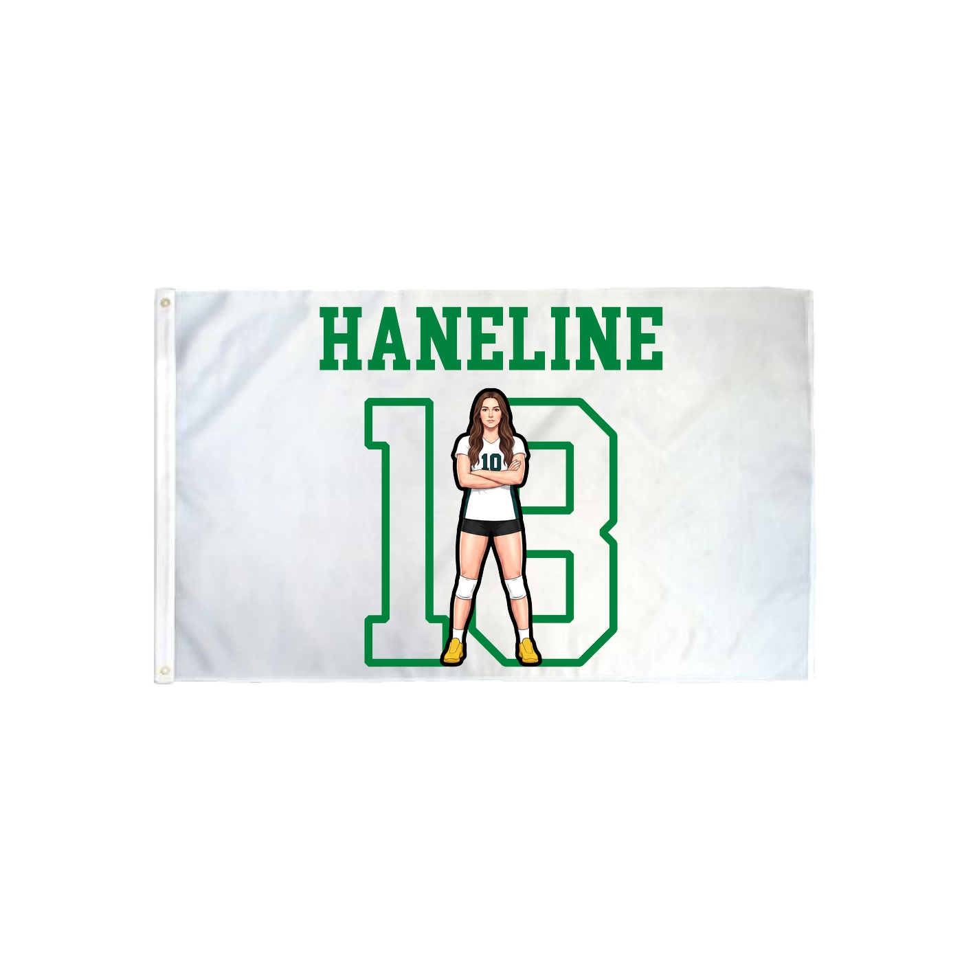 3x5 Flag — Shirsey in Classic
