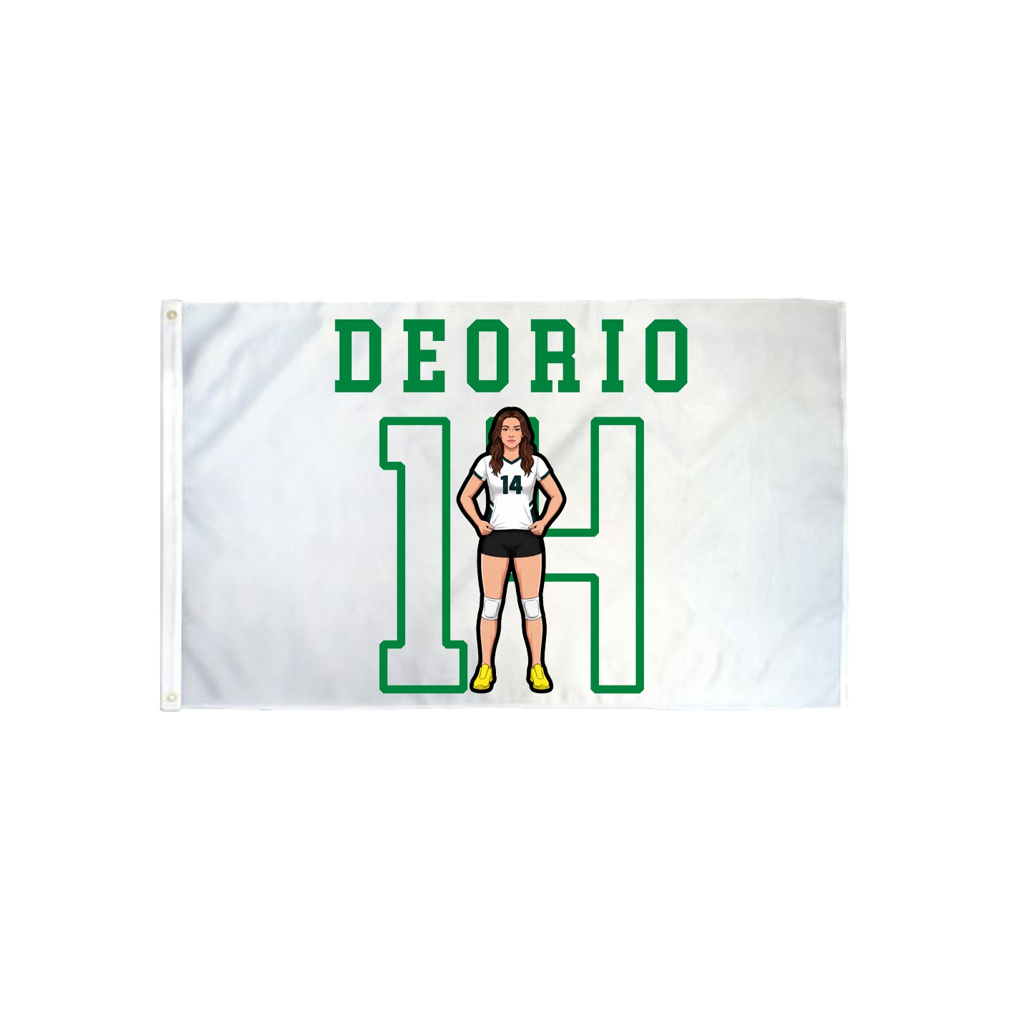 3x5 Flag — Shirsey in Classic