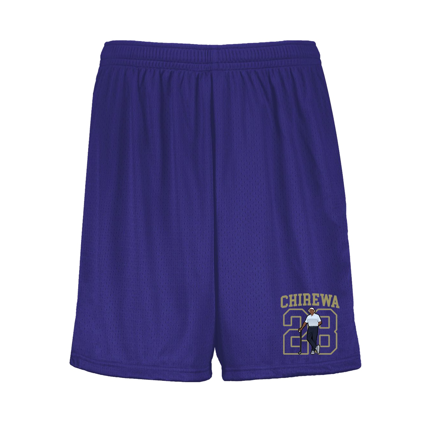 Shorts — Shirsey in Purple