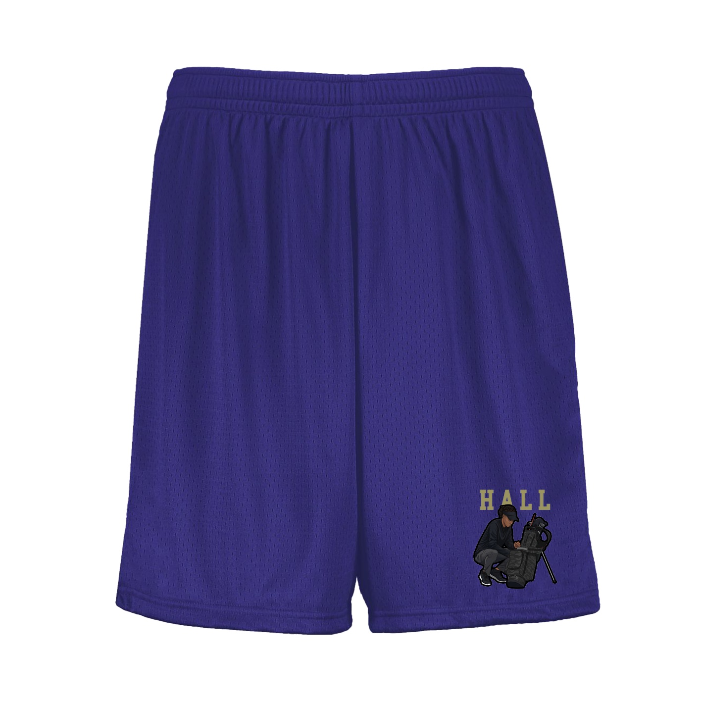 Shorts — Shirsey in Purple