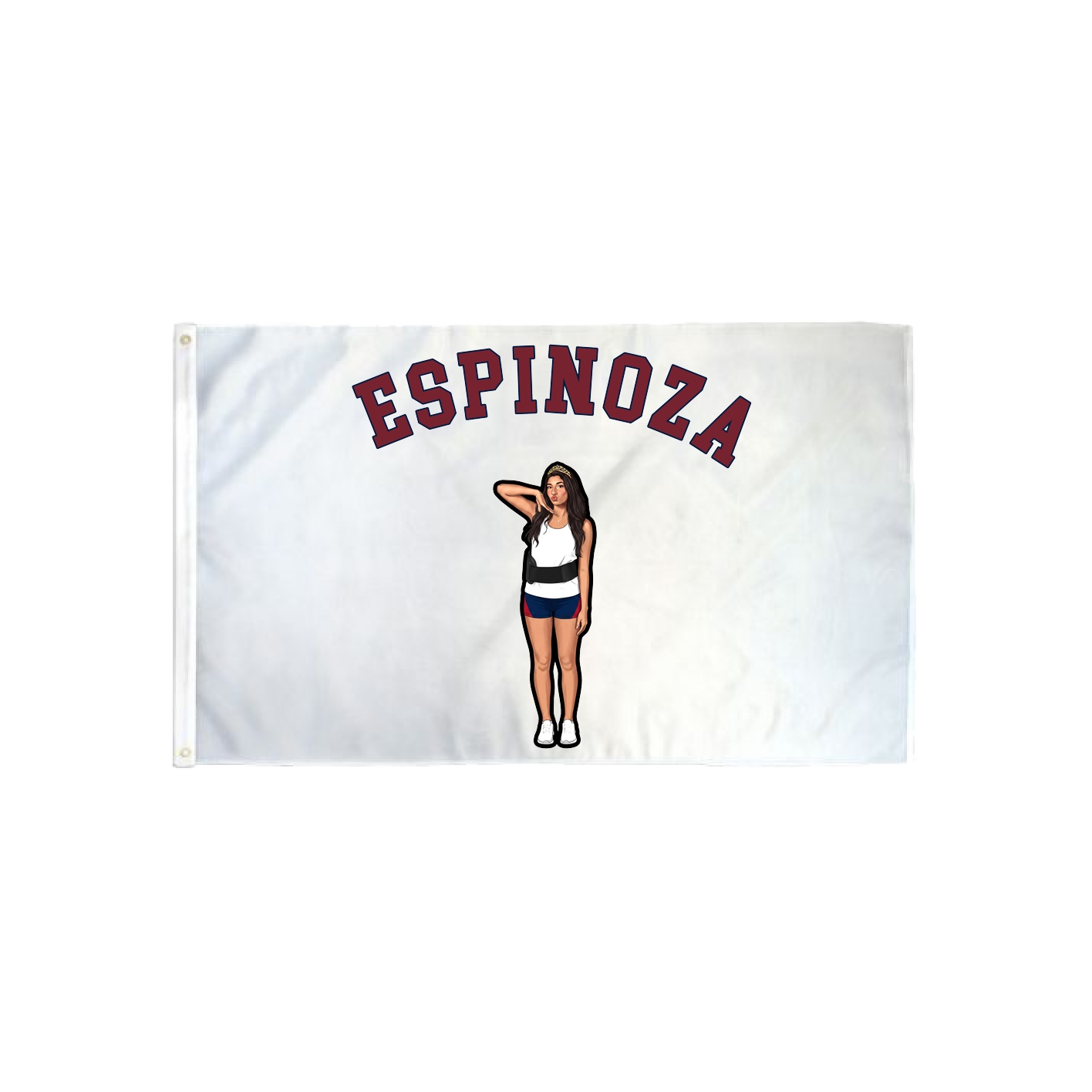 3x5 Flag — Shirsey Arch in Classic