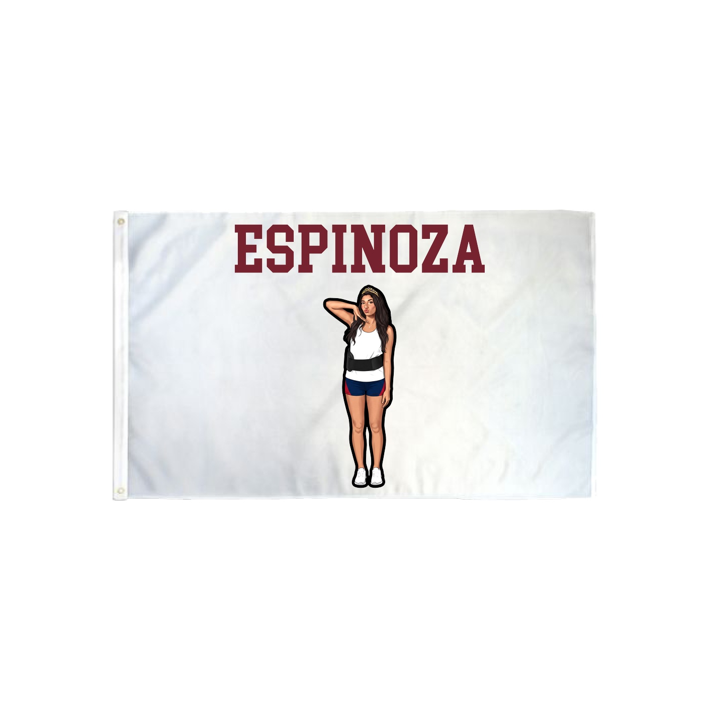3x5 Flag — Shirsey in Classic