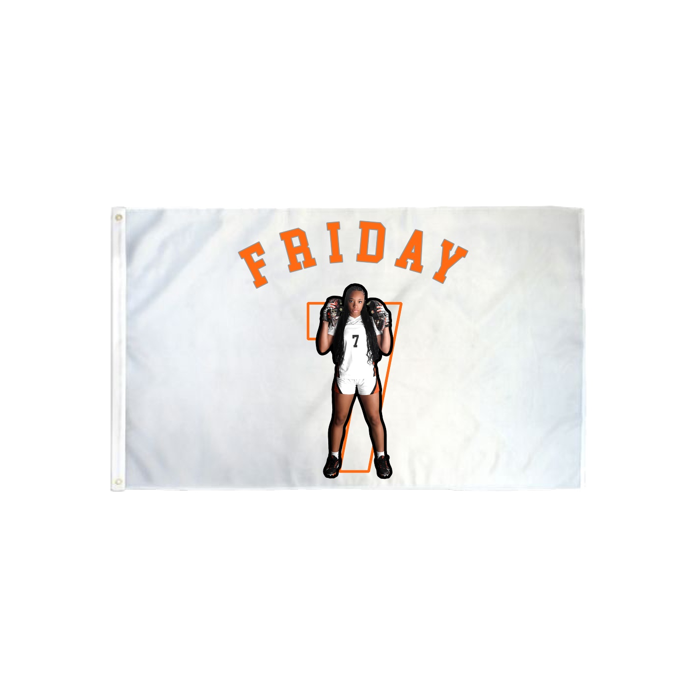 3x5 Flag — Shirsey Arch in Classic