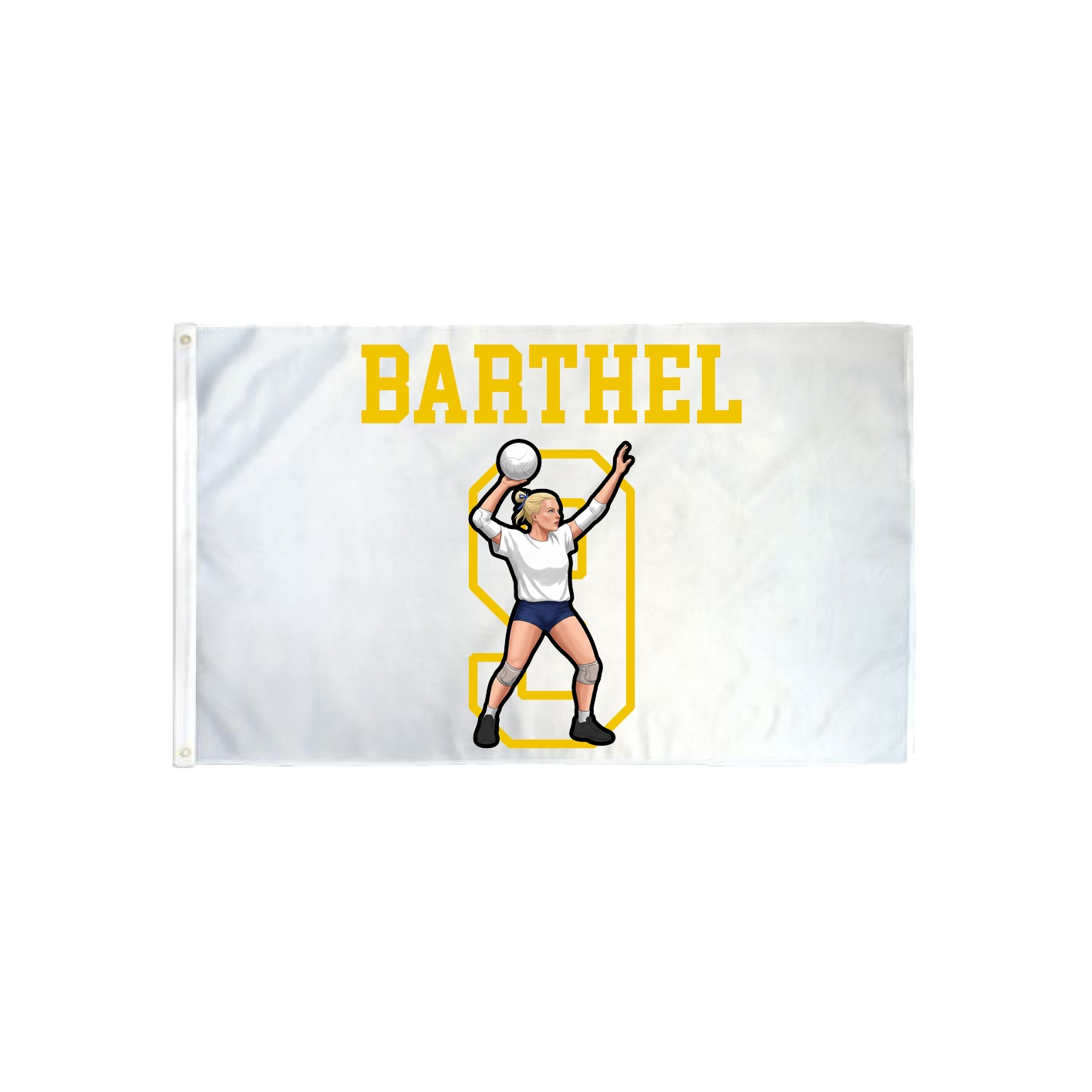 3x5 Flag — Shirsey in Classic