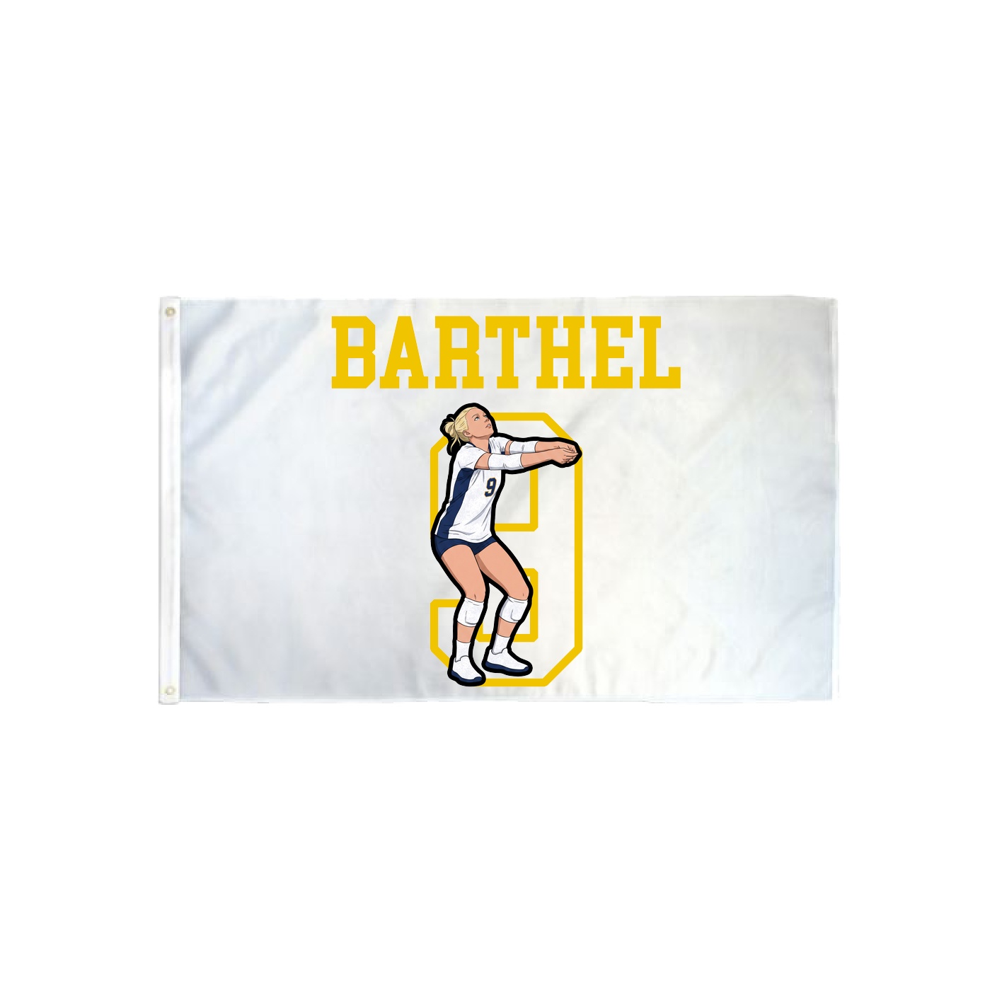 3x5 Flag — Shirsey in Classic