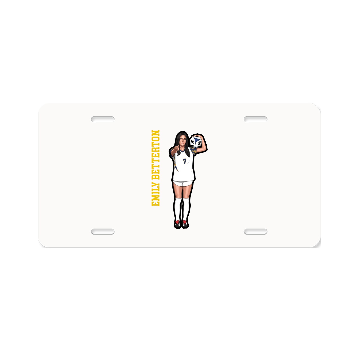 License Plate