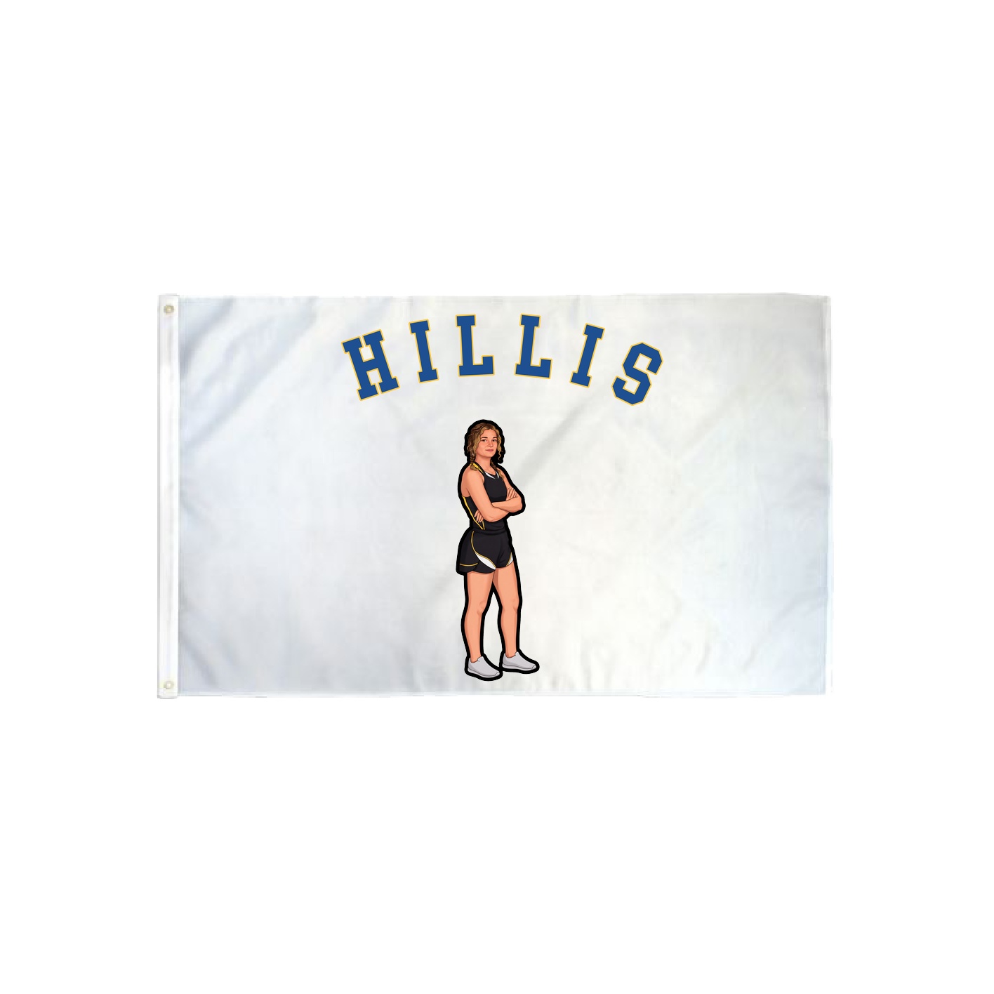 3x5 Flag — Shirsey Arch in Classic