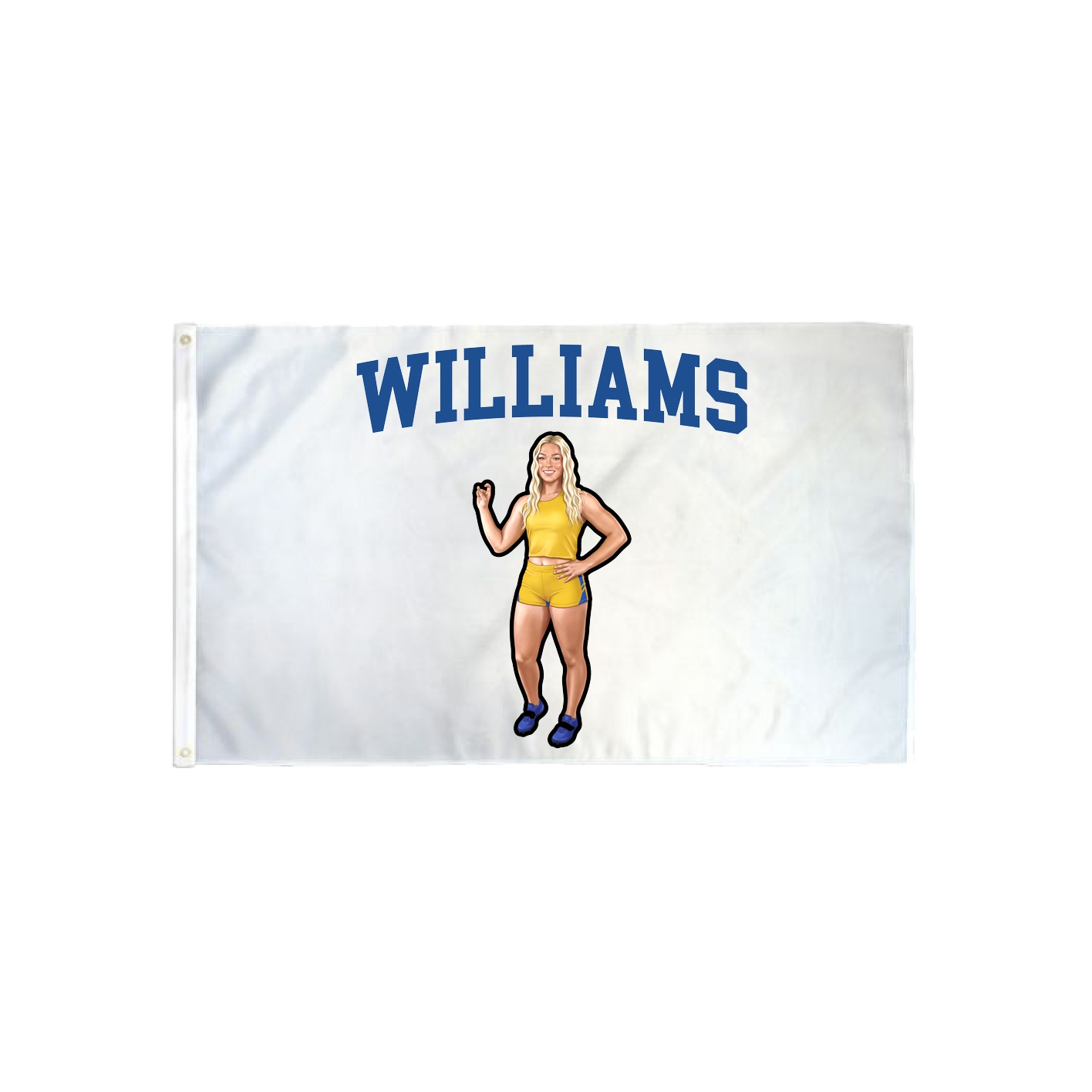 3x5 Flag — Shirsey in Classic