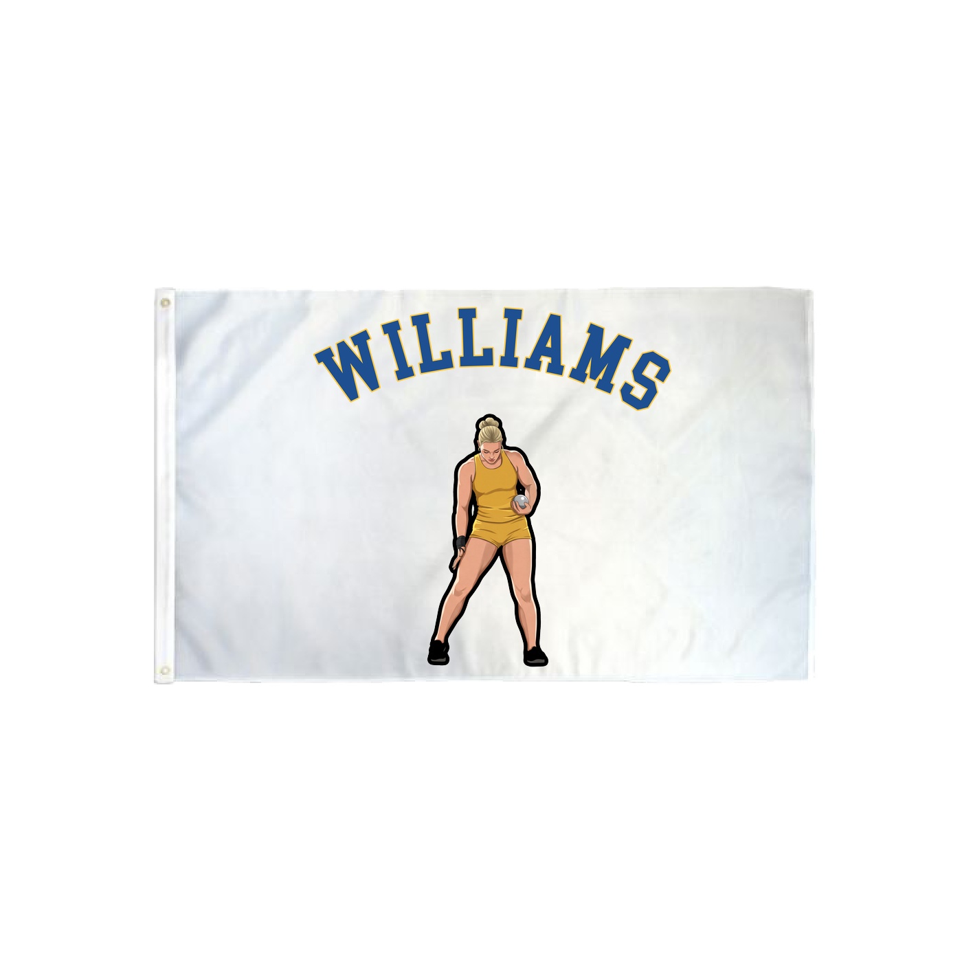 3x5 Flag — Shirsey Arch in Classic