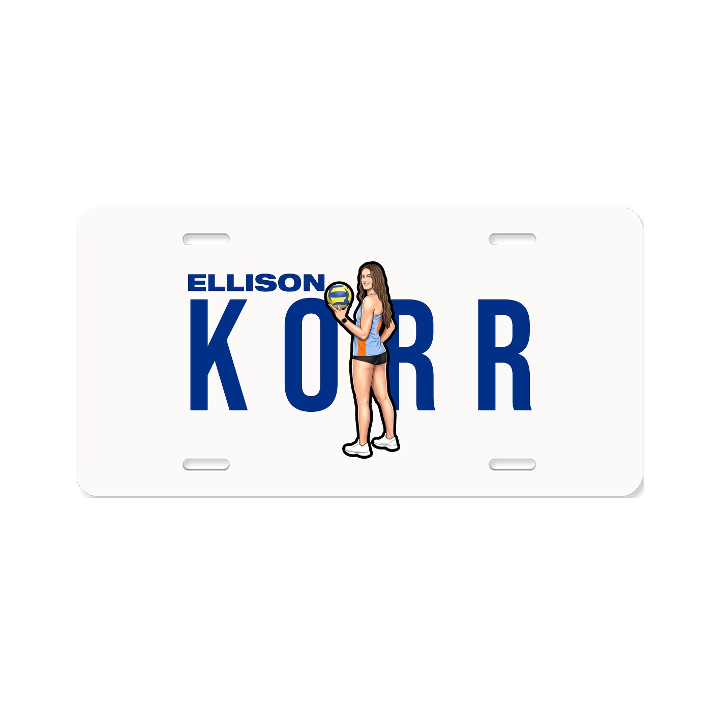 License Plate