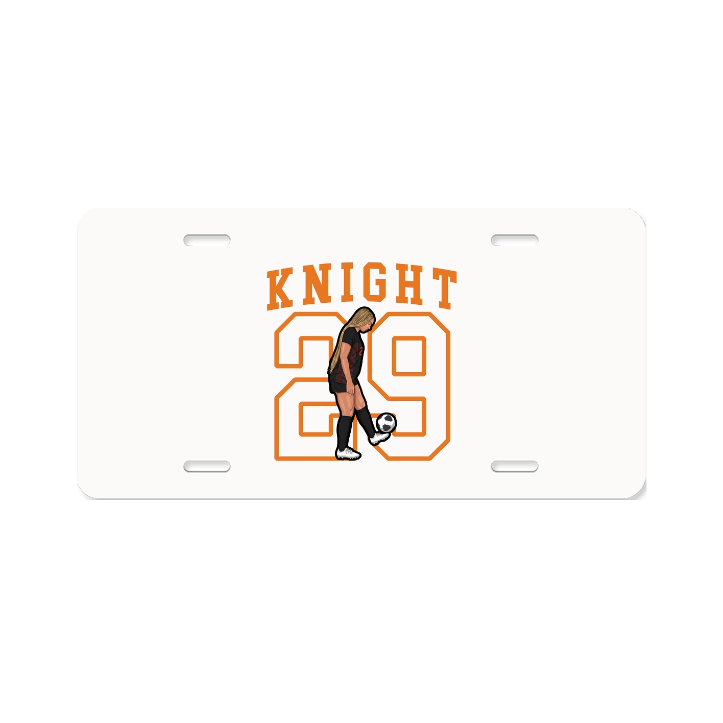 Aluminum License Plate