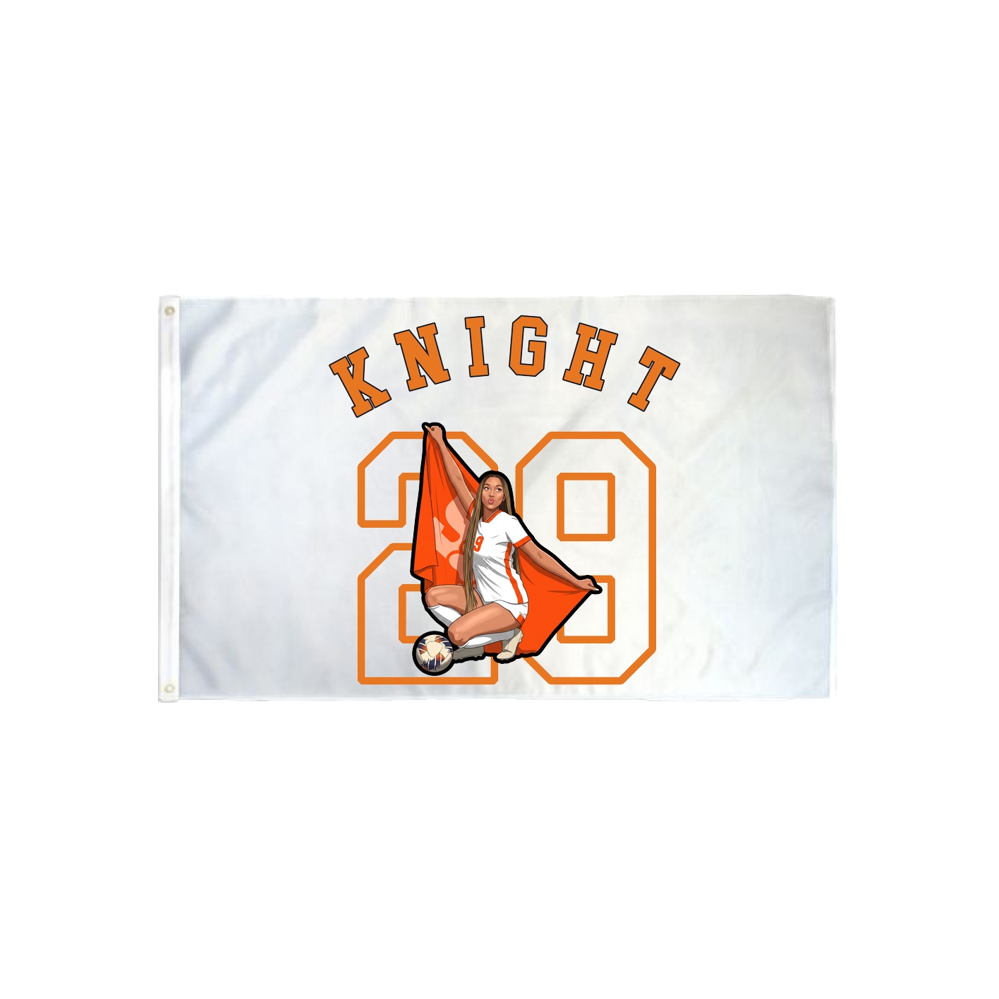 3x5 Flag — Shirsey Arch in Classic