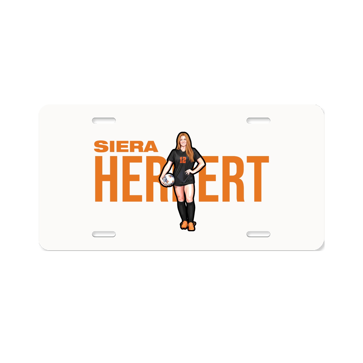 License Plate