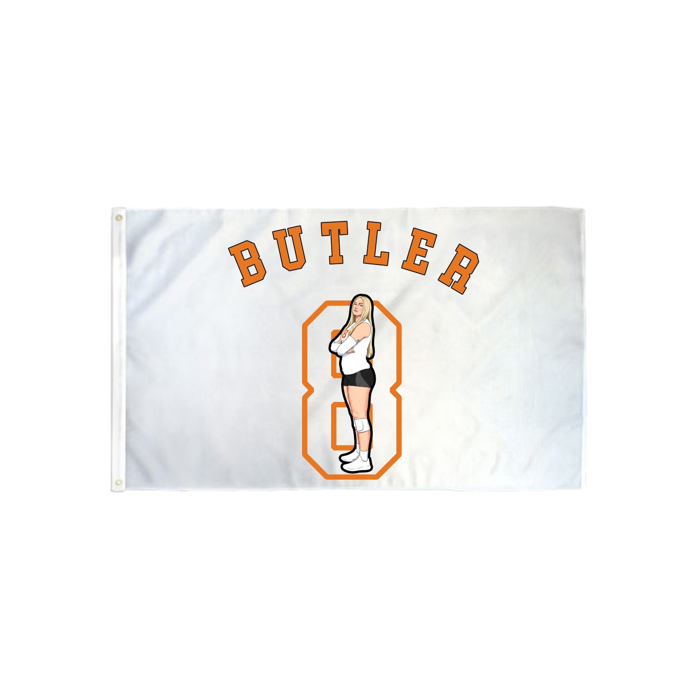 3x5 Flag — Shirsey Arch in Classic