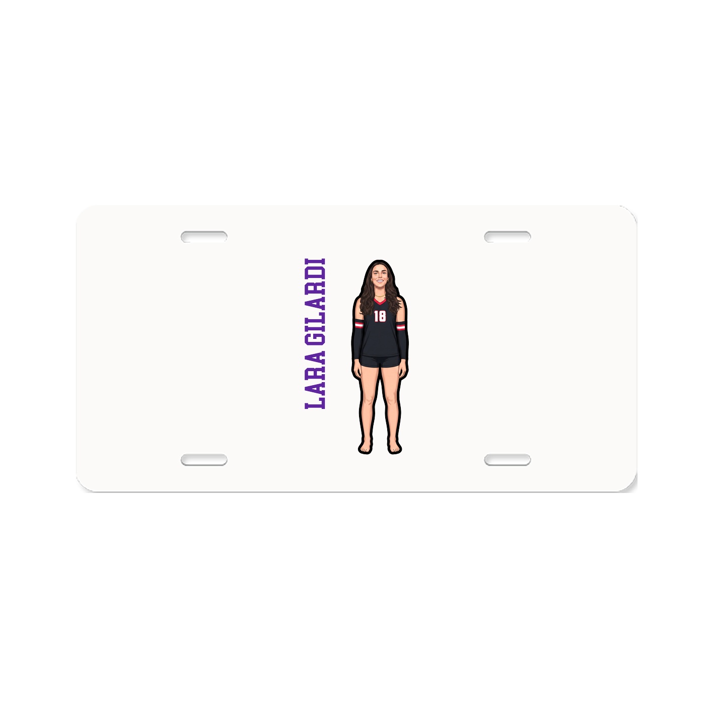 Aluminum License Plate