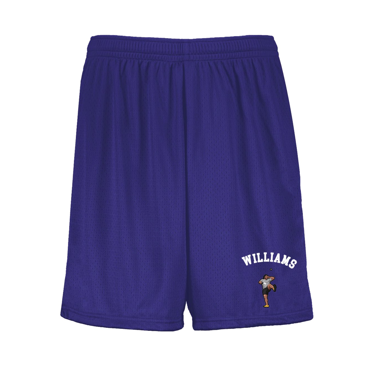 Shorts — Shirsey Arch in Purple