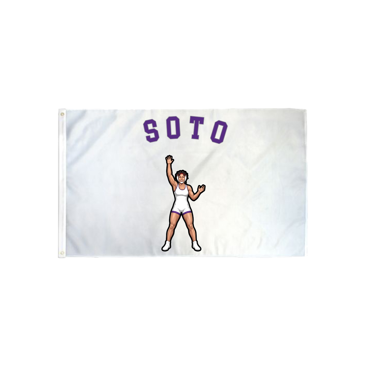 3x5 Flag — Shirsey Arch in Classic