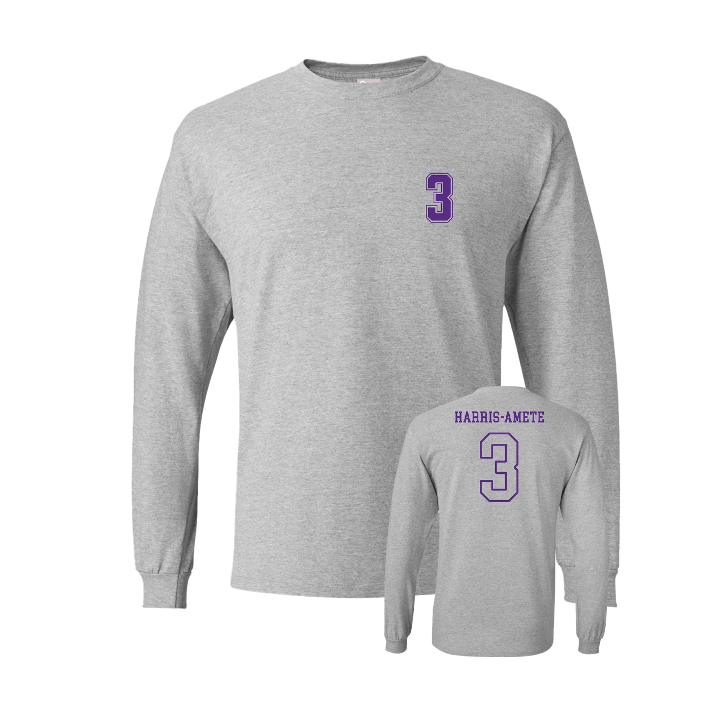 Long Sleeve Tee — Chest Back in Grey