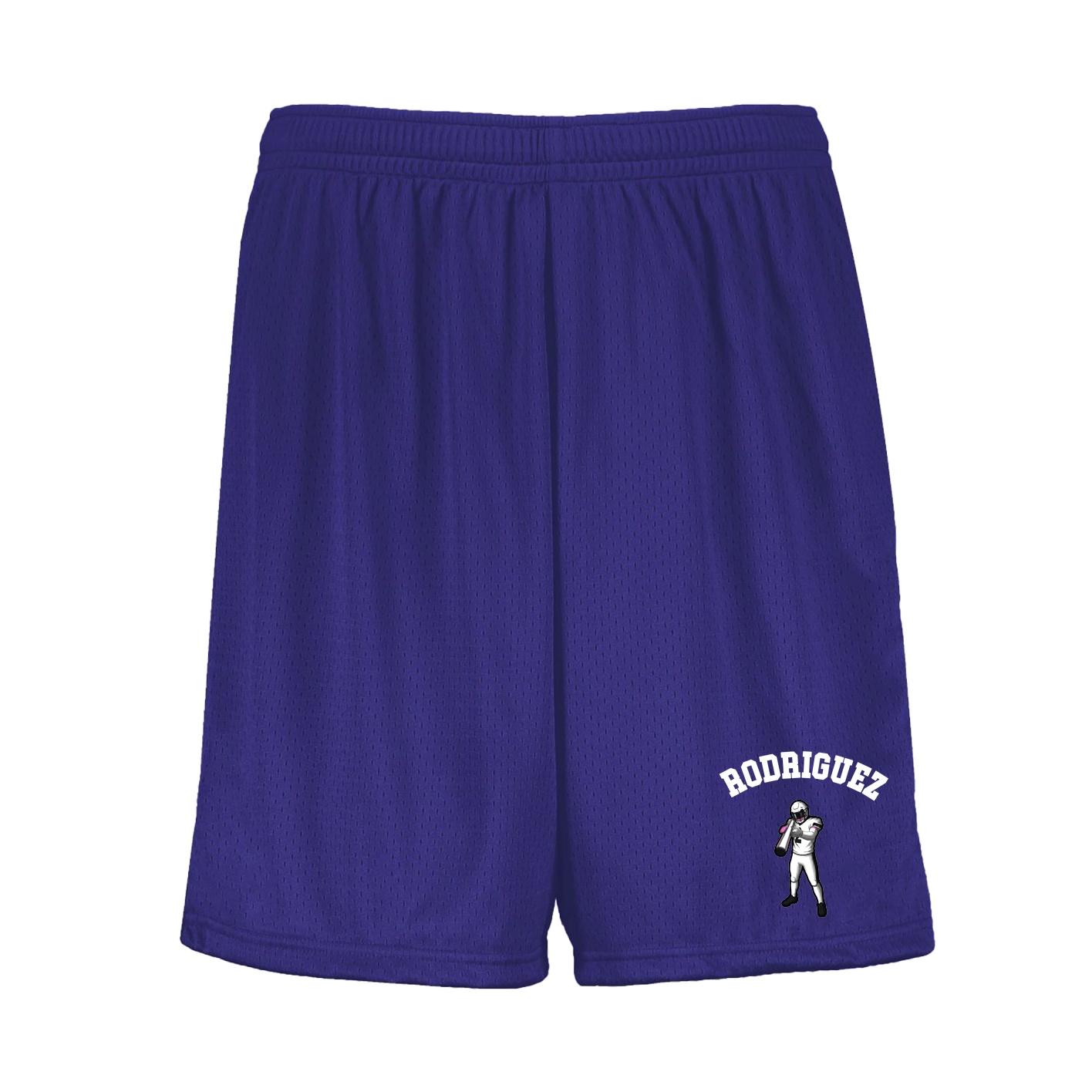 Shorts — Shirsey Arch in Purple