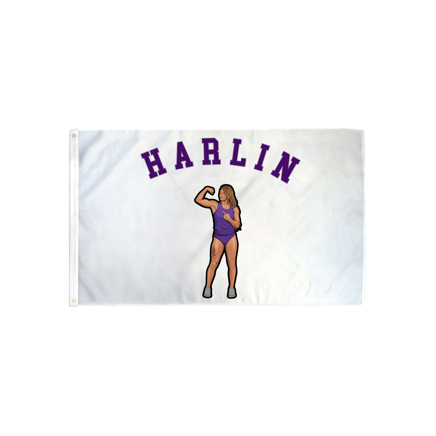 3x5 Flag — Shirsey Arch in Classic
