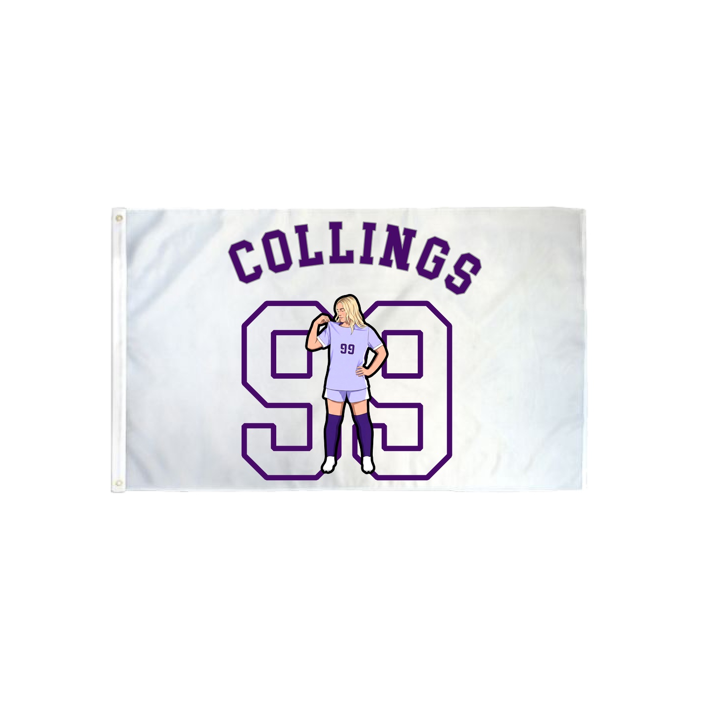 3x5 Flag — Shirsey Arch in Classic