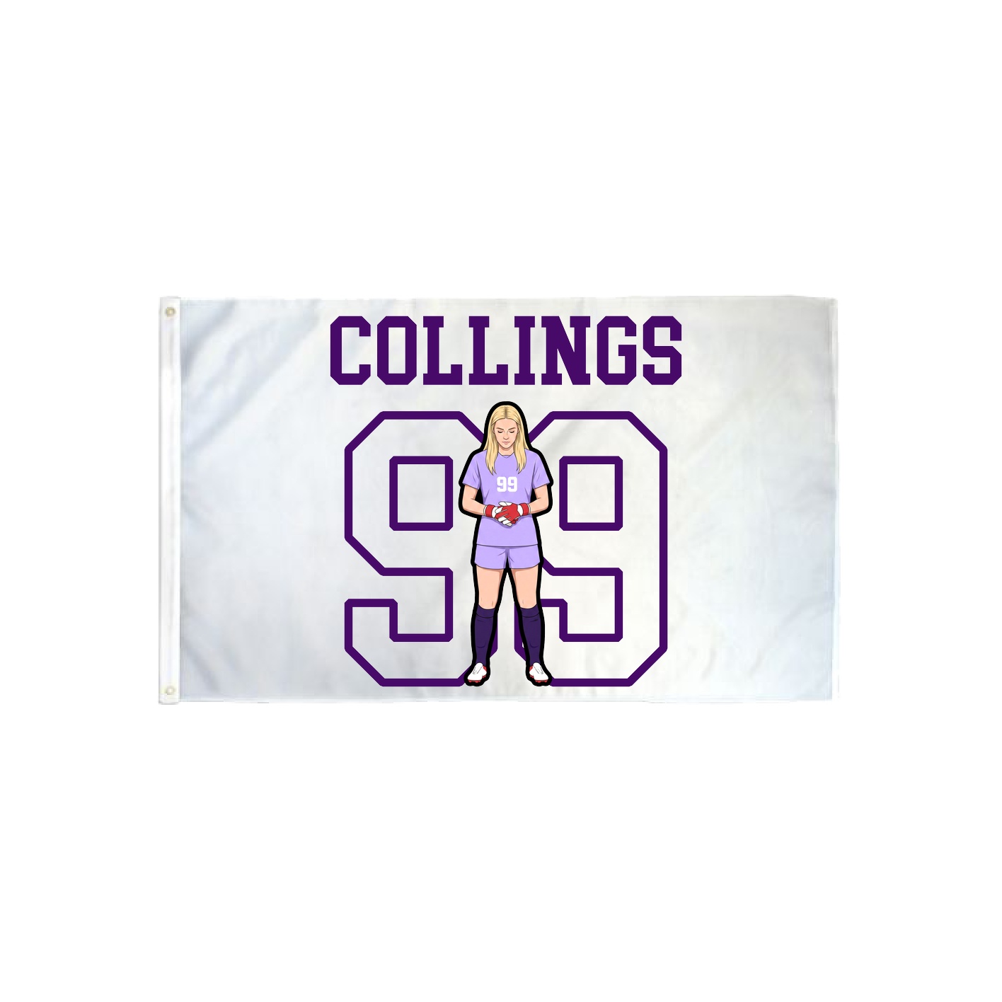 3x5 Flag — Shirsey in Classic