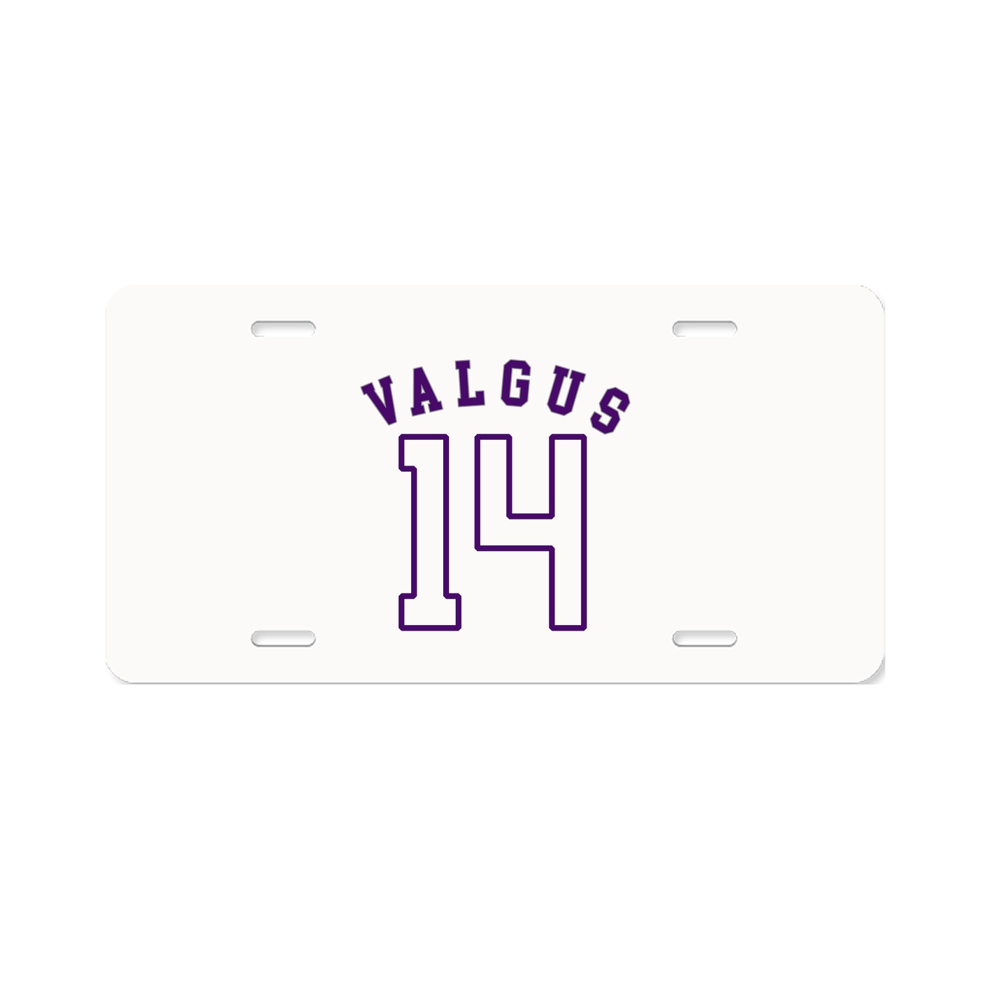 License Plate