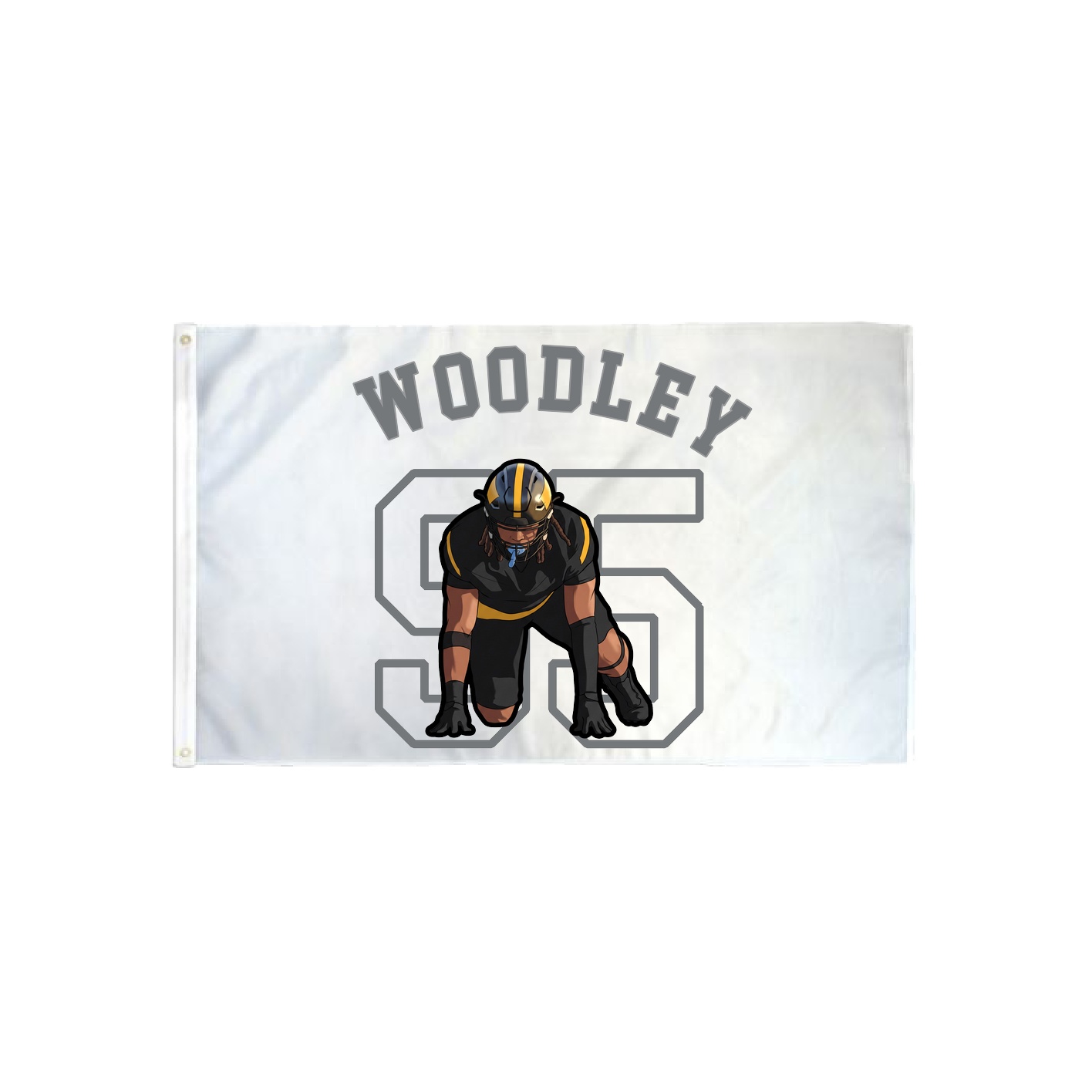3x5 Flag — Shirsey Arch in Classic
