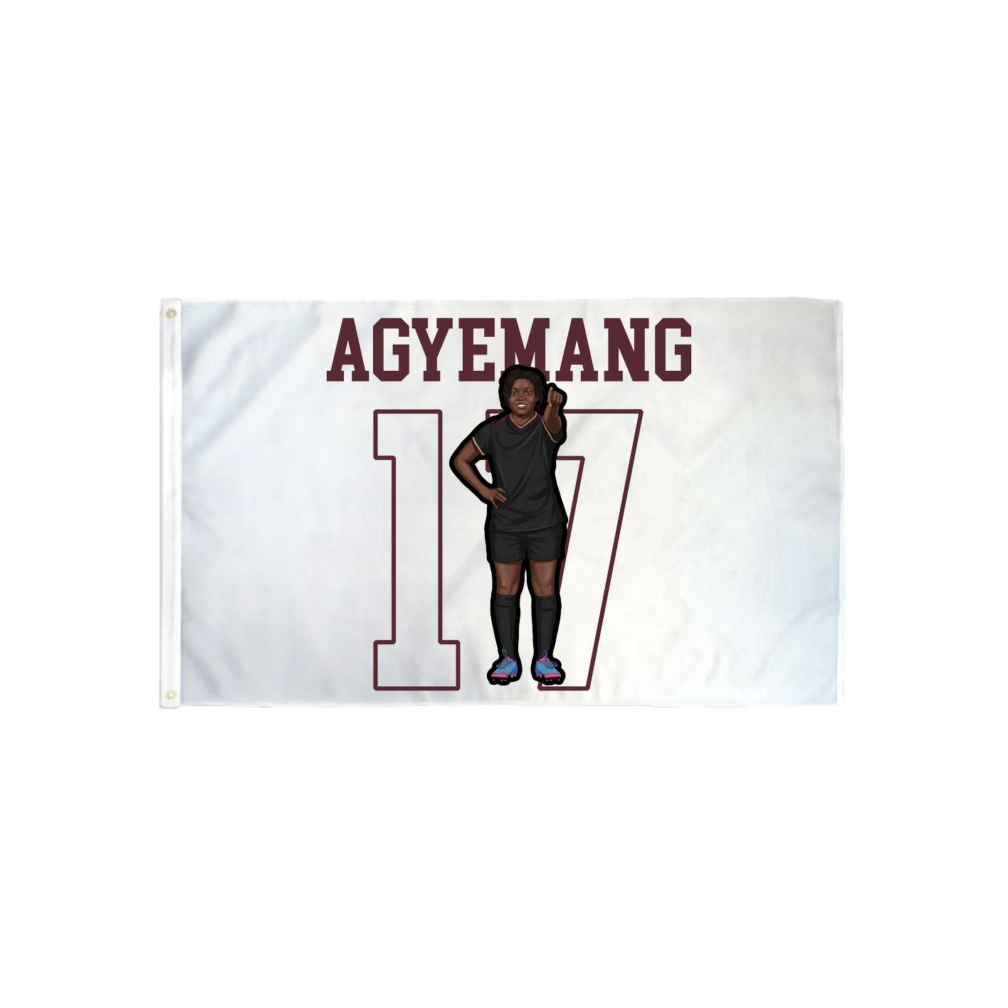3x5 Flag — Shirsey in Classic