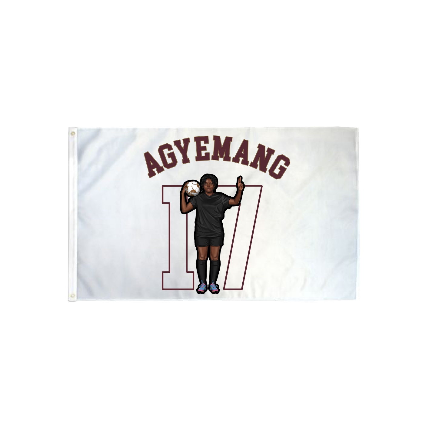 3x5 Flag — Shirsey Arch in Classic