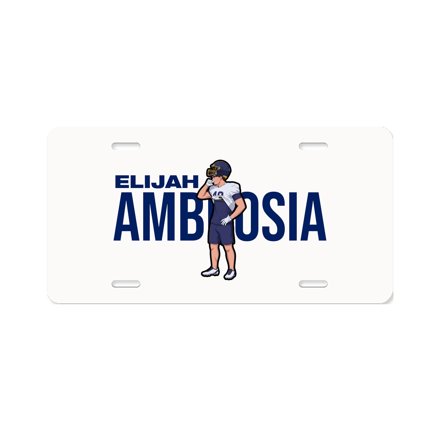 License Plate