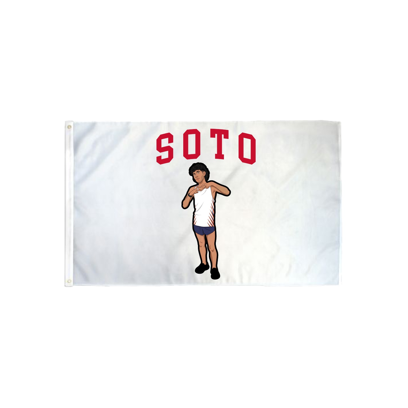 3x5 Flag — Shirsey in Classic