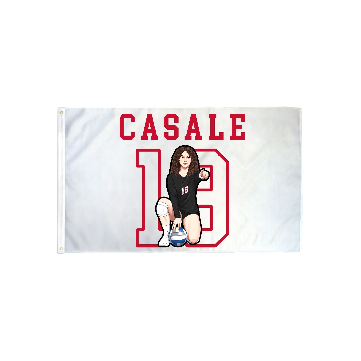 3x5 Flag — Shirsey in Classic