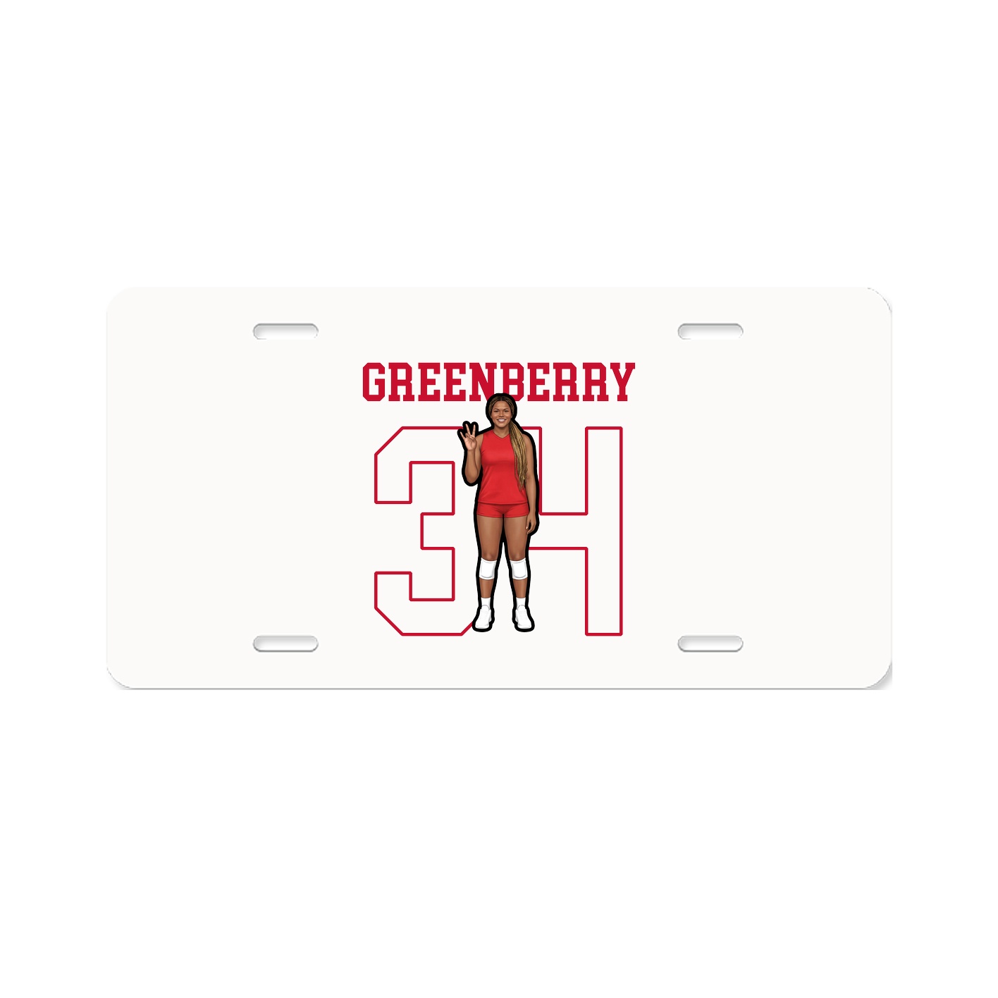 License Plate