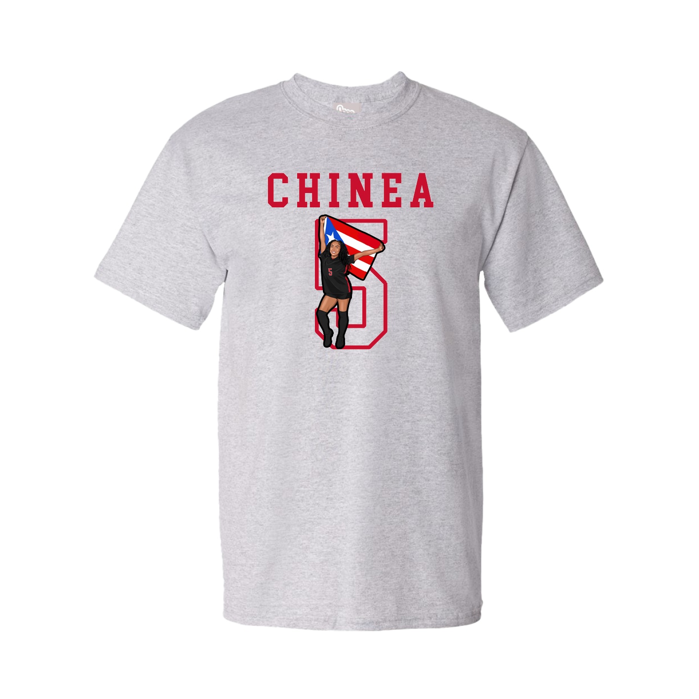 Tee — Shirsey in Grey