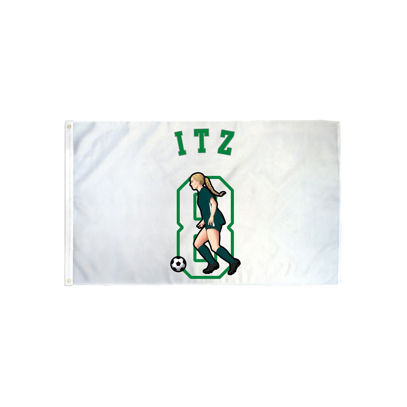 3x5 Flag — Shirsey Arch in Classic