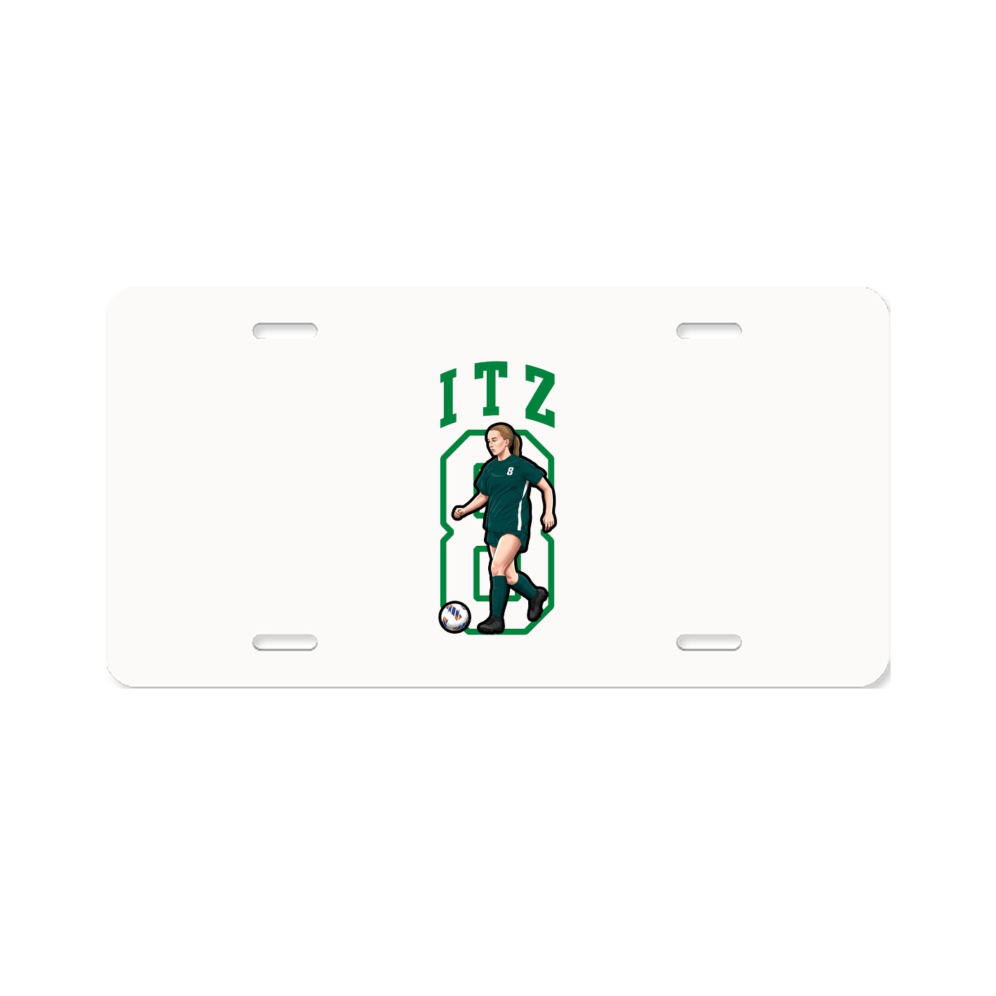 Aluminum License Plate