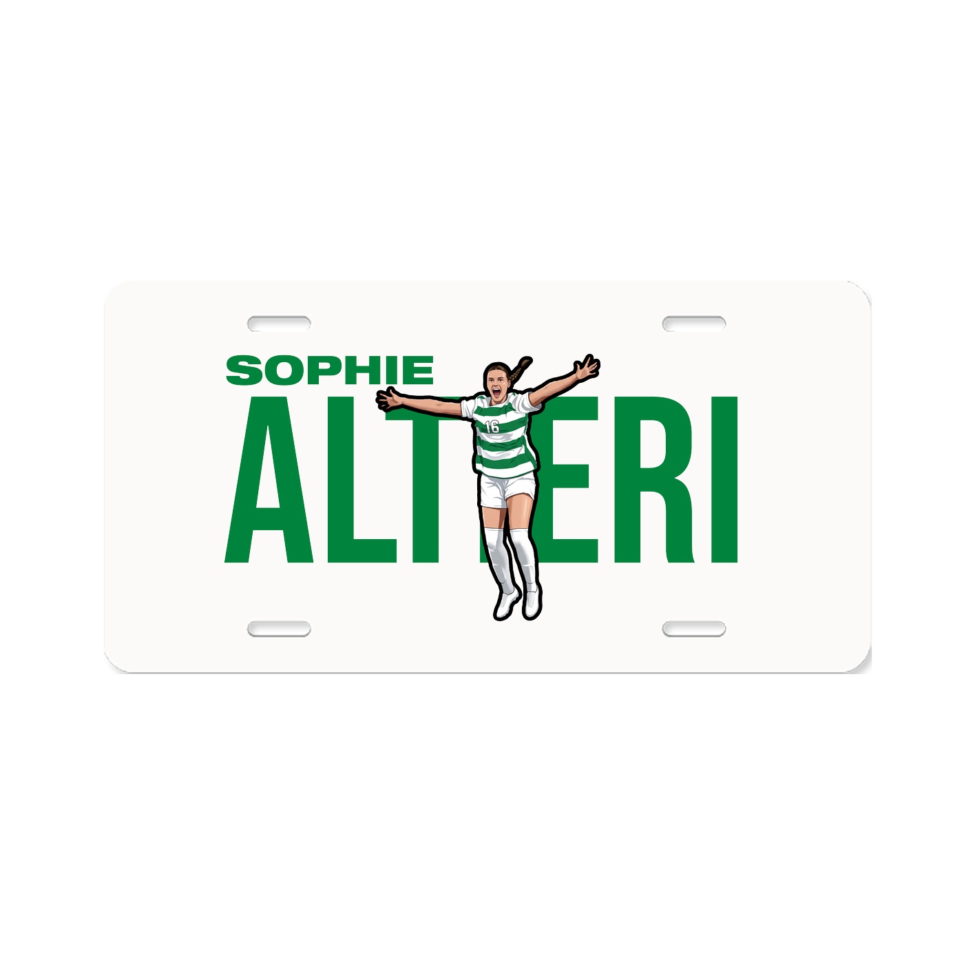 License Plate
