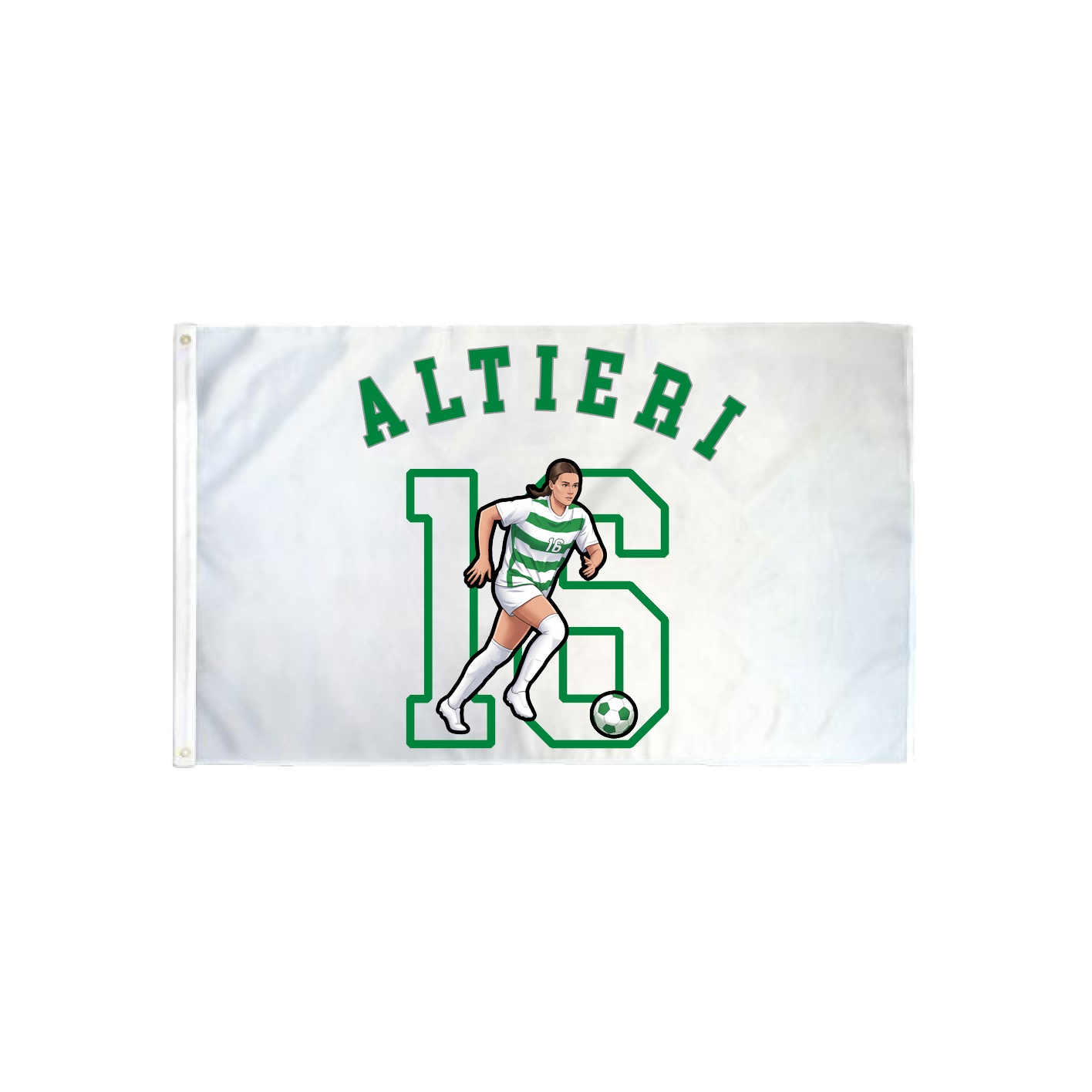 3x5 Flag — Shirsey Arch in Classic
