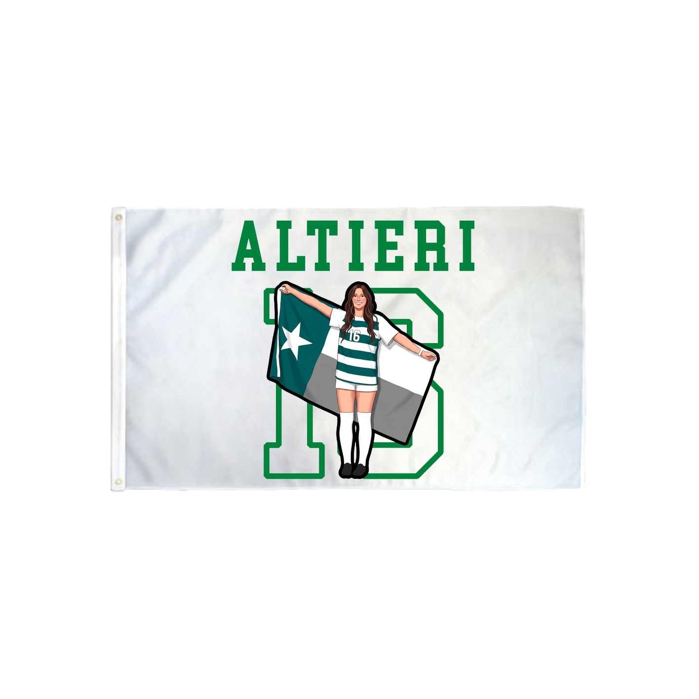 3x5 Flag — Shirsey in Classic